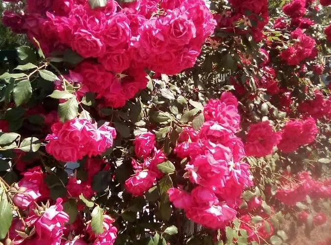 Santa Sofia * 阳光海滩